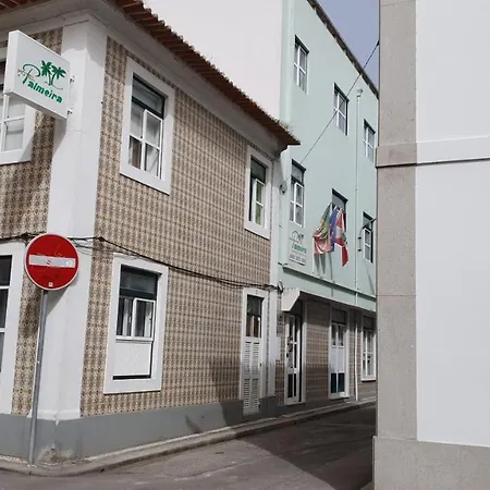 Palmeira Aveiro