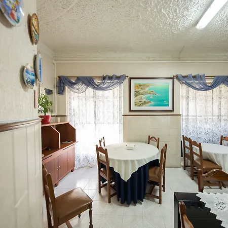 Palmeira * אבאירו