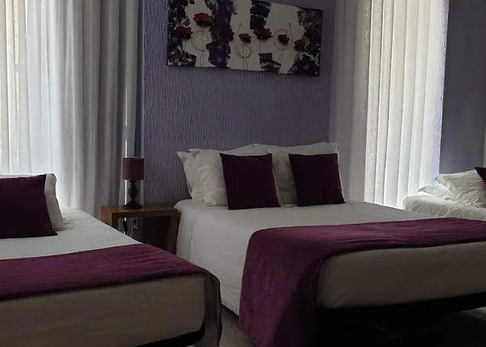 Palmeira * אבאירו