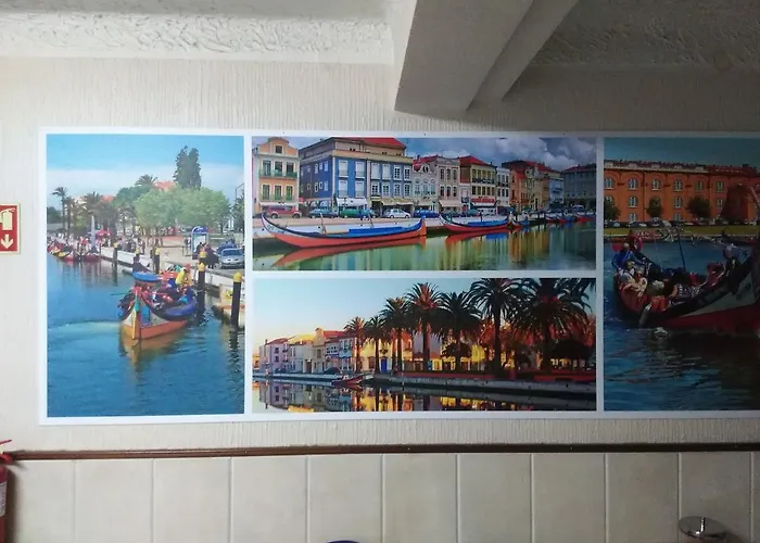 Palmeira * אבאירו