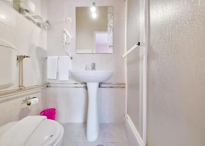 Palmeira אבאירו